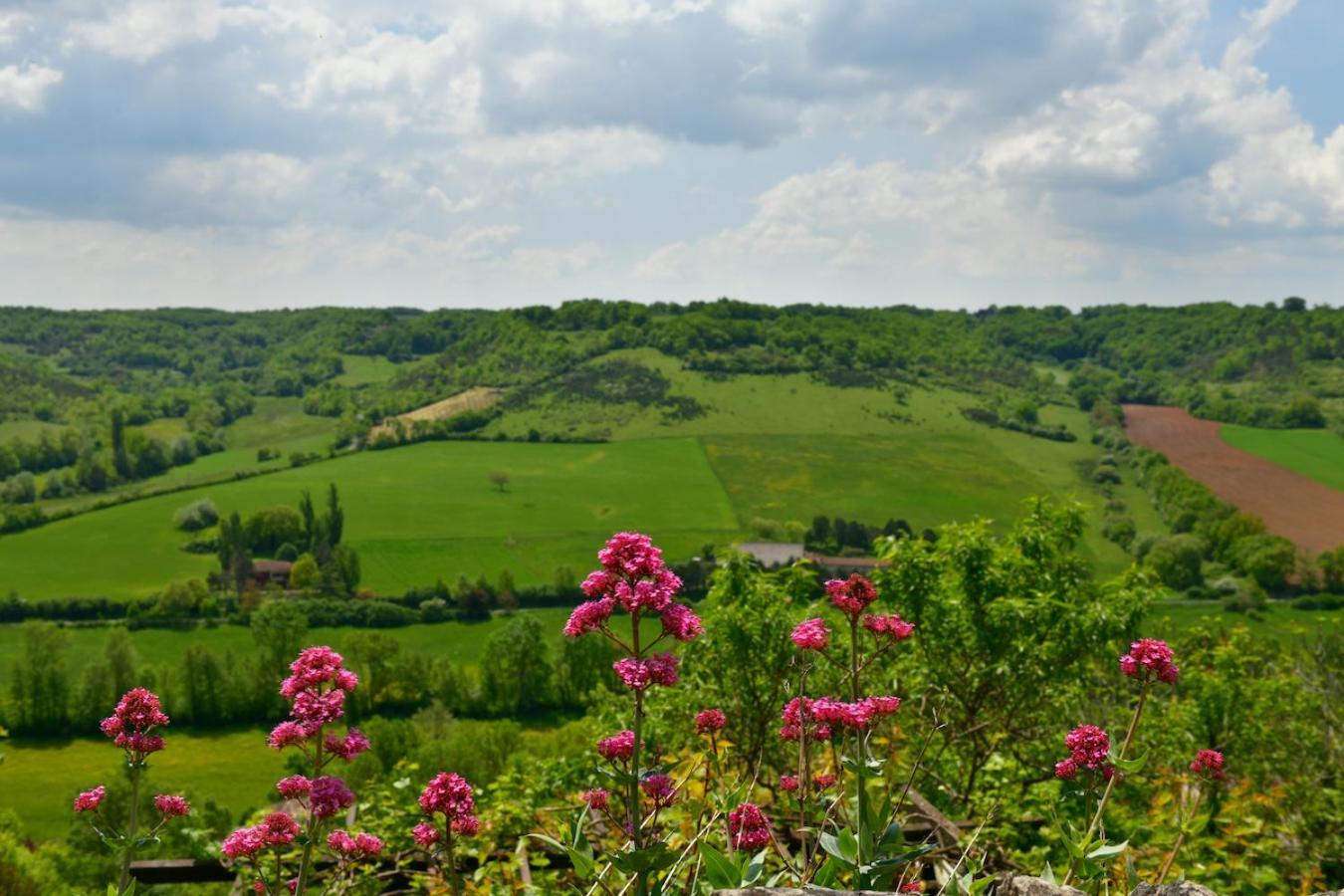 Le Songe D'Atys Bed and Breakfast Cordes Sur Ciel Exteriör bild